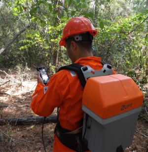 Forestry Mapping