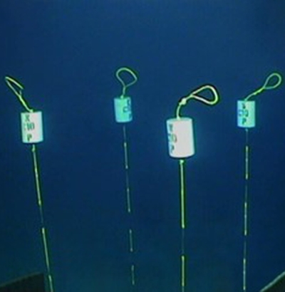 Buoy Set